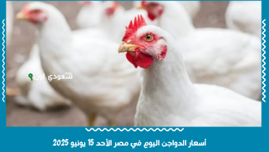 أسعار الدواجن اليوم في مصر الأحد 15 يونيو 2025