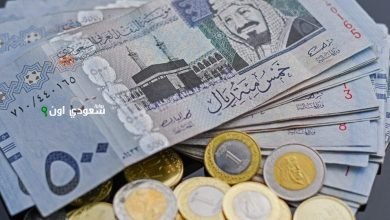 اسعار الريال السعودي امام الجنيه