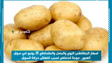 اسعار البطاطس اليوم والبصل والطماطم 25 يونيو في سوق العبور.. موجة انخفاض تسبب انتعاش حركة السوق