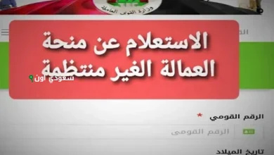 الاستعلام عن منحة العمالة الغير منتظمة بالرقم القومي  