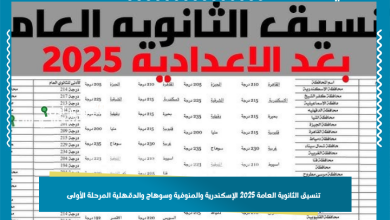 تنسيق الثانوية العامة 2025 الإسكندرية والمنوفية وسوهاج والدقهلية المرحلة الأولى