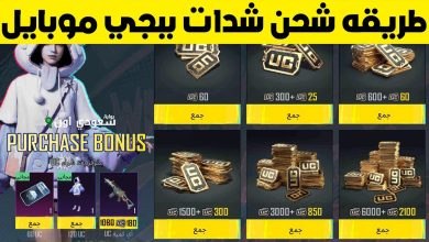 مستني ايه؟! اشحن 2000 شدة ببجي من الموقع ده واستمتع بأقوى أسلحة تخليك تتميز من أول جيم