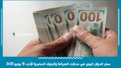 سعر الدولار اليوم في محلات الصرافة والبنوك المصرية الأحد 15 يونيو 2025