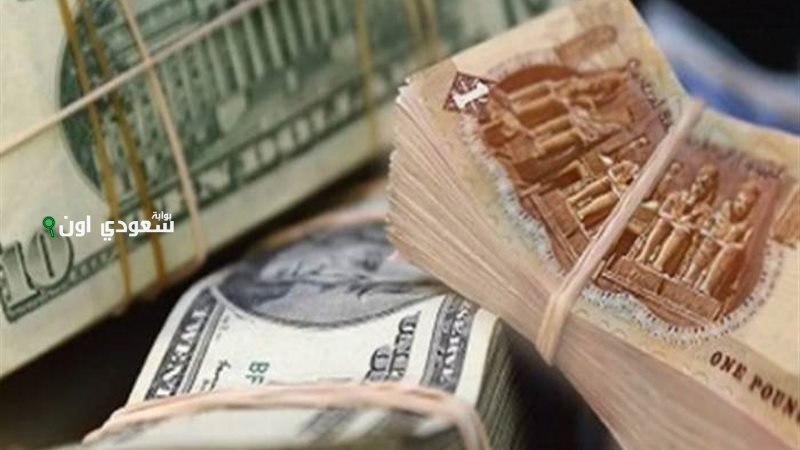 سعر الدولار امام الجنيه الاربعاء 11 يونيو 2025 