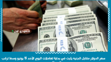 سعر الدولار مقابل الجنيه يثبت في بداية تعاملات اليوم الأحد 15 يونيو وسط ترقب المستثمرين