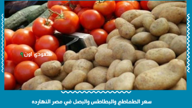 سعر الطماطم والبطاطس والبصل في مصر النهارده