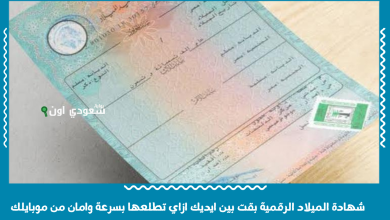 شهادة الميلاد الرقمية بقت بين ايديك ازاي تطلعها بسرعة وامان من موبايلك