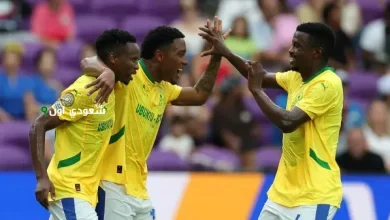 بوروسيا دورتموند ضد صنداونز