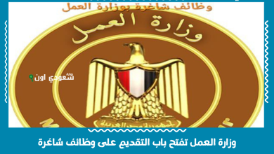 وزارة العمل تفتح باب التقديم على وظائف شاغرة
