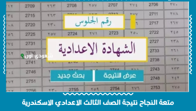 متعة النجاح نتيجة الصف الثالث الاعدادي الاسكندرية