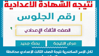 لكل الاسر السكندرية نتيجة الصف الثالث الاعدادي محافظة الاسكندرية