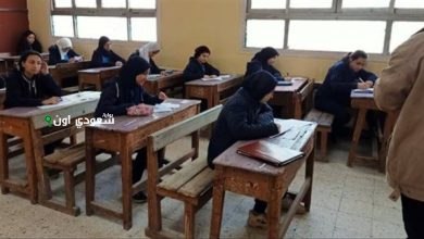 ظهور نتيجة ثانوي تجاري برقم الجلوس والاستعلام عبر الرابط nategafany.emis.gov.eg