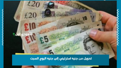 تحويل من جنيه استرليني إلى جنيه اليوم السبت