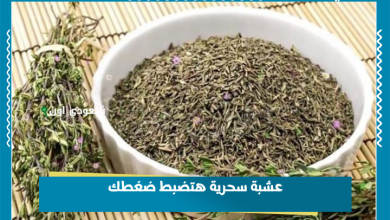 عشبة سحرية هتضبط ضغطك