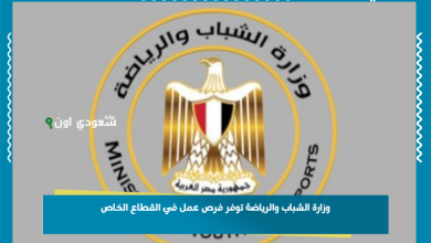 وزارة الشباب والرياضة توفر فرص عمل في القطاع الخاص