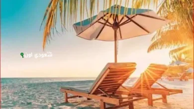 فلكياً البداية الرسمية لفصل الصيف تبدأ غداً