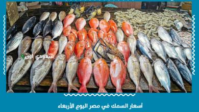 أسعار السمك في مصر اليوم الأربعاء