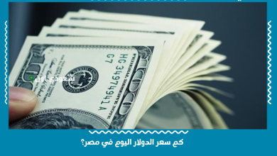 كم سعر الدولار اليوم في مصر؟