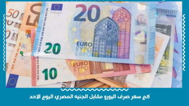 كم سعر صرف اليورو مقابل الجنيه المصري اليوم الاحد