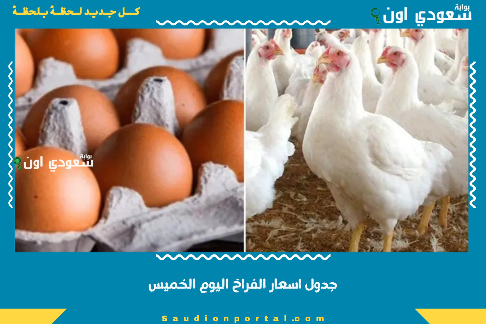 جدول اسعار الفراخ اليوم الخميس