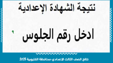 نتائج الصف الثالث الاعدادي محافظة القليوبية 2025