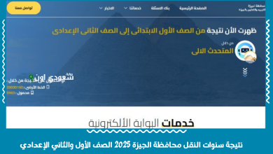 نتيجة سنوات النقل محافظة الجيزة 2025 الصف الأول والثاني الإعدادي
