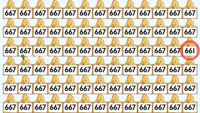 نظرك هيبقى 6/6 لو عرفت تطلع الرقم الوحيد المختلف وسط كل الارقام المتشابهة دي