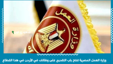 وزارة العمل المصرية تفتح باب التقديم على وظائف في الأردن في هذا القطاع
