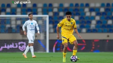 عبد الملك المرواني