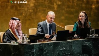 الخارجية الصينية تؤكد أن حل الدولتين هو السبيل الوحيد لتسوية قضية فلسطين