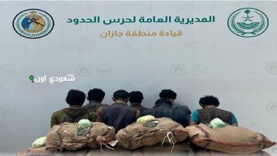 الجهات الأمنية تقبض على 7 أشخاص لتهريب 140 كيلوغراماً من القات المخدر