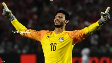 حارس المرمى محمد الشناوي
