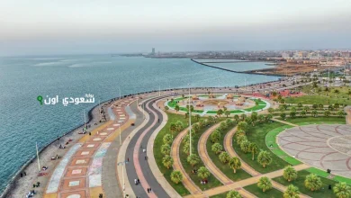 منطقة جازان
