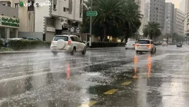 أحوال جوية متقلبة في الشرقية مع أمطار ورياح مثيرة للغبار