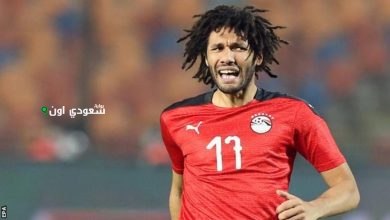 المصري محمد النني