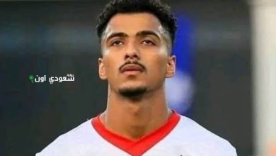 حسام عبد المجيد