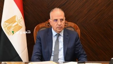وزير الري المصري