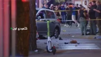 سائق يدهس 30 شخصا في لوس أنجلوس