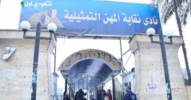 الاتحاد العام للمهن التمثلية