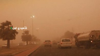 الأرصاد تحذر من عواصف ترابية تسبب ضعف الرؤية في الباحة