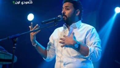 الشاعر عمرو حسني