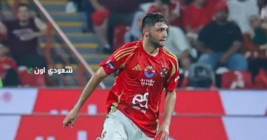 كريم نيدفيد