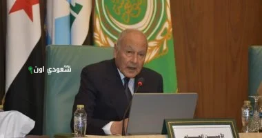 أبو الغيط يعبر عن إدانته لقرار الكنيست بفرض السيطرة الإسرائيلية على الضفة الغربية