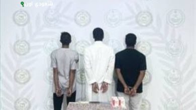 القبض على ثلاثة أشخاص في الجوف