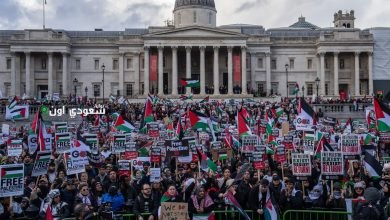 شرطة لندن تعتقل 27 شخصاً خلال احتجاجات مؤيدة لـ فلسطين أكشن في ساحة البرلمان