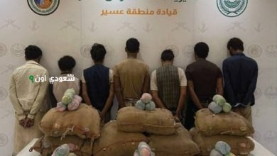 نجران الجهات الأمنية تضبط مهربًا بحوزته 7 كيلوغرامات من القات المخدر