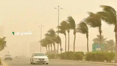 الأرصاد الجوية رياح نشطة تؤثر على منطقة تبوك خلال الساعات القادمة
