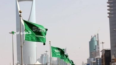 4 مؤشرات وطنية تُسهم في تعزيز ريادة السعودية رقمياً لتكون ضمن أفضل 5 حكومات رقمية