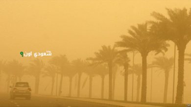 نشاط رياح وغبار يسيطر على الشرقية ومدنها المختلفة