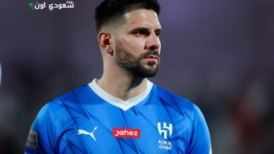 أليكساندر ميتروفيتش